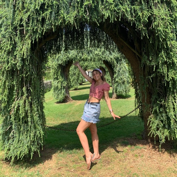 lilytouret